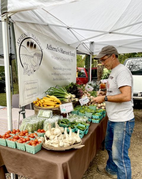 Farmers Market Nashville TN - The Traveling Locavores