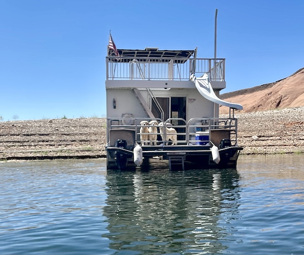 Houseboat with 3 Golden Retrievers waiting for us at Spectacular Lake Powell Utah