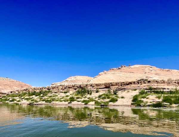 Pink rock formations and greenery reflected in Spectacular Lake Powell Utah