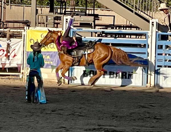 Female rider in purple on a brown horse riding upside down on side of horse