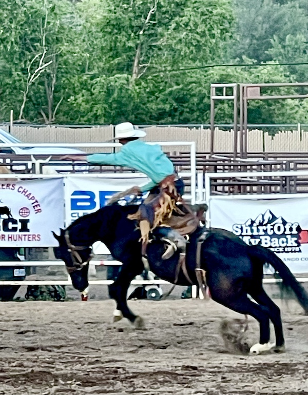 Dark brown bucking bronco with cowboy on saddle at Our First Rodeo Durango CO