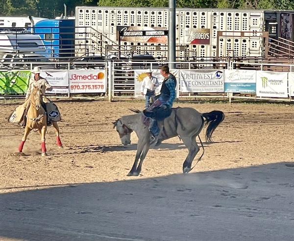 Center of rodeo ring with rider on a bucking bronco at Our First Rodeo Durango CO