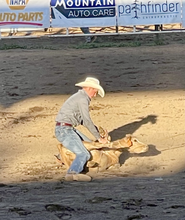 Cowboy in denim on the dirt tying up a calf at Our First Rodeo Durango CO