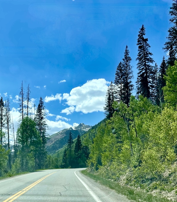 Highway curving around tree covered mountains on our Scenic Drive to Silverton and Ouray