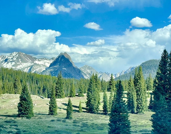 A small group of evergreens set apart from the forest with mountains in the background.