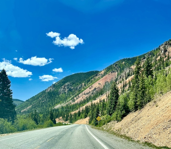 Driving through a forest of trees on our Scenic Drive to Silverton and Ouray